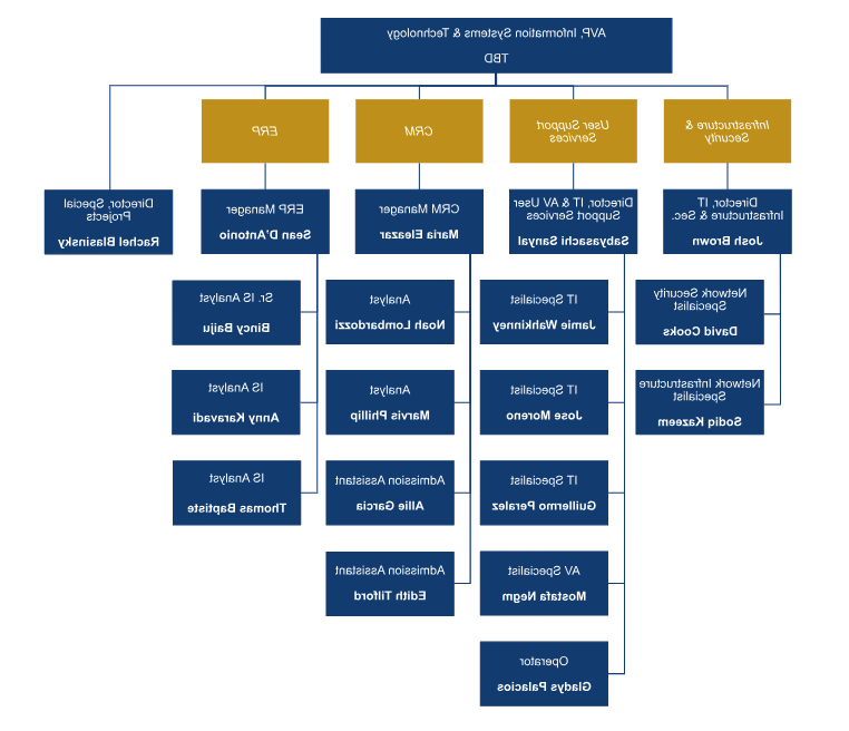 IT Org Chart